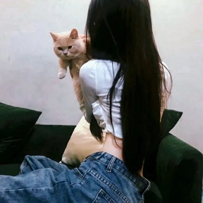 再次出发之纽约遇见你